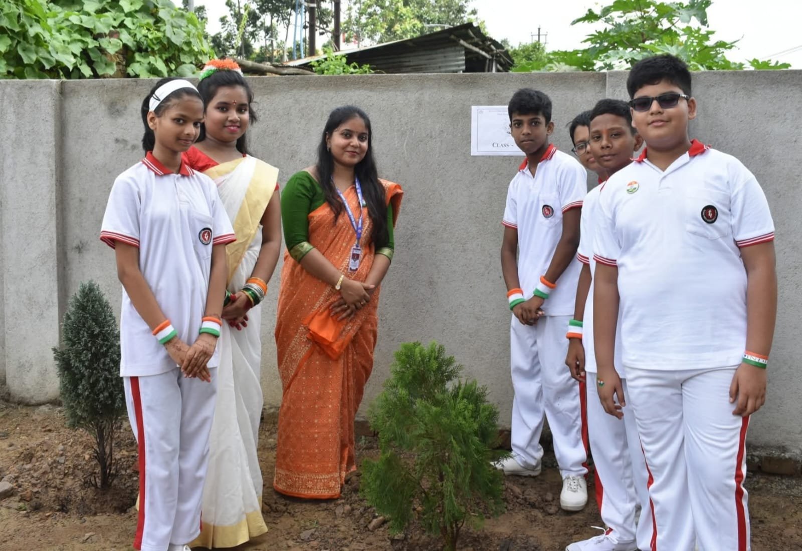 Tree Plantation